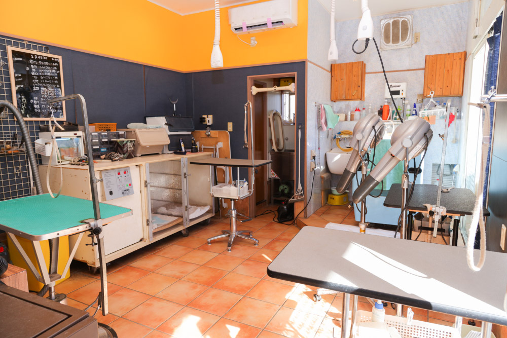 ホリスティックケアセラピスト在籍