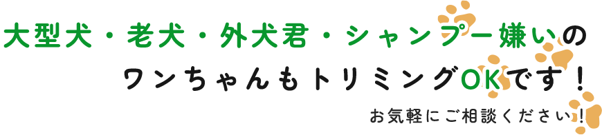 大型犬・老犬・外犬君・シャンプー嫌いのワンちゃんもトリミングOKです！お気軽にご相談ください！