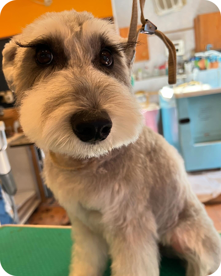 Instagramでも情報を発信しています