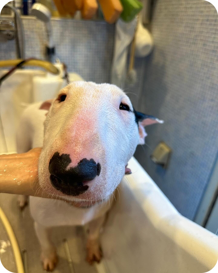 Instagramでも情報を発信しています