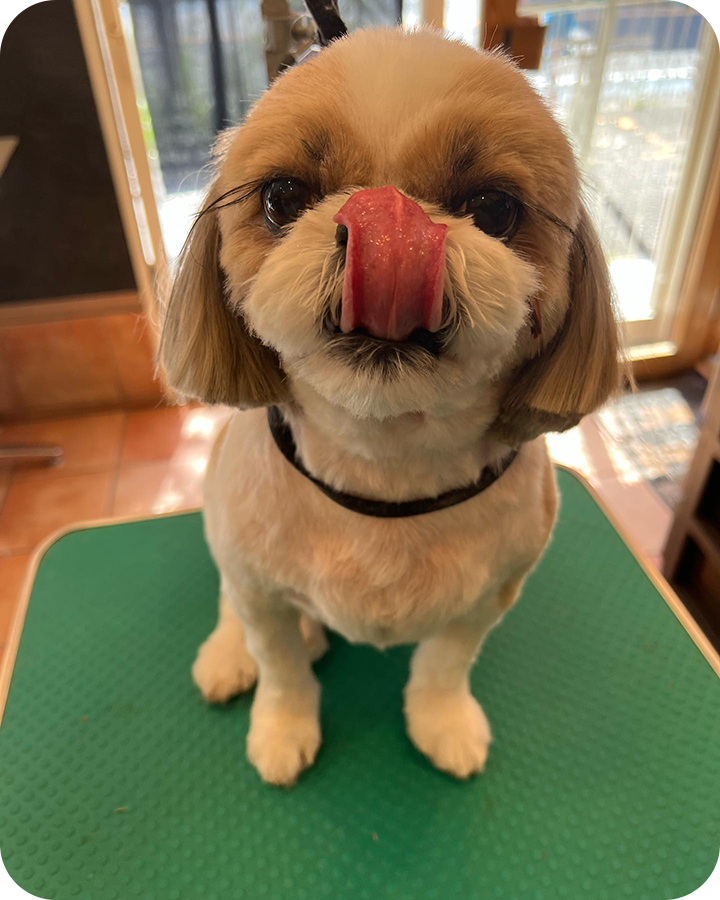 Instagramでも情報を発信しています