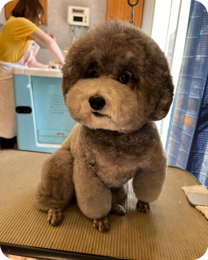 Instagramでも情報を発信しています