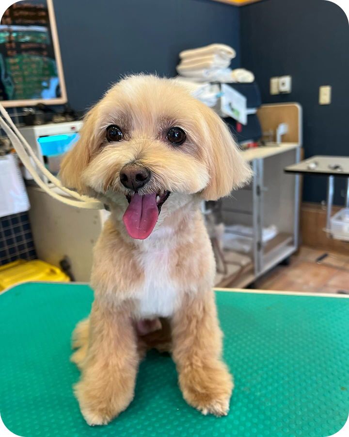 Instagramでも情報を発信しています