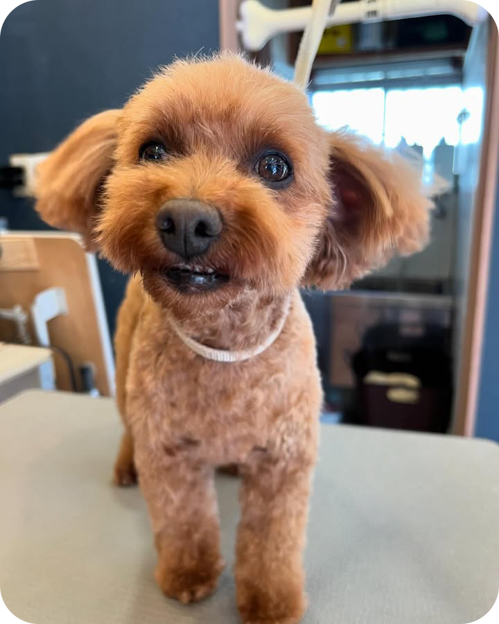 Instagramでも情報を発信しています