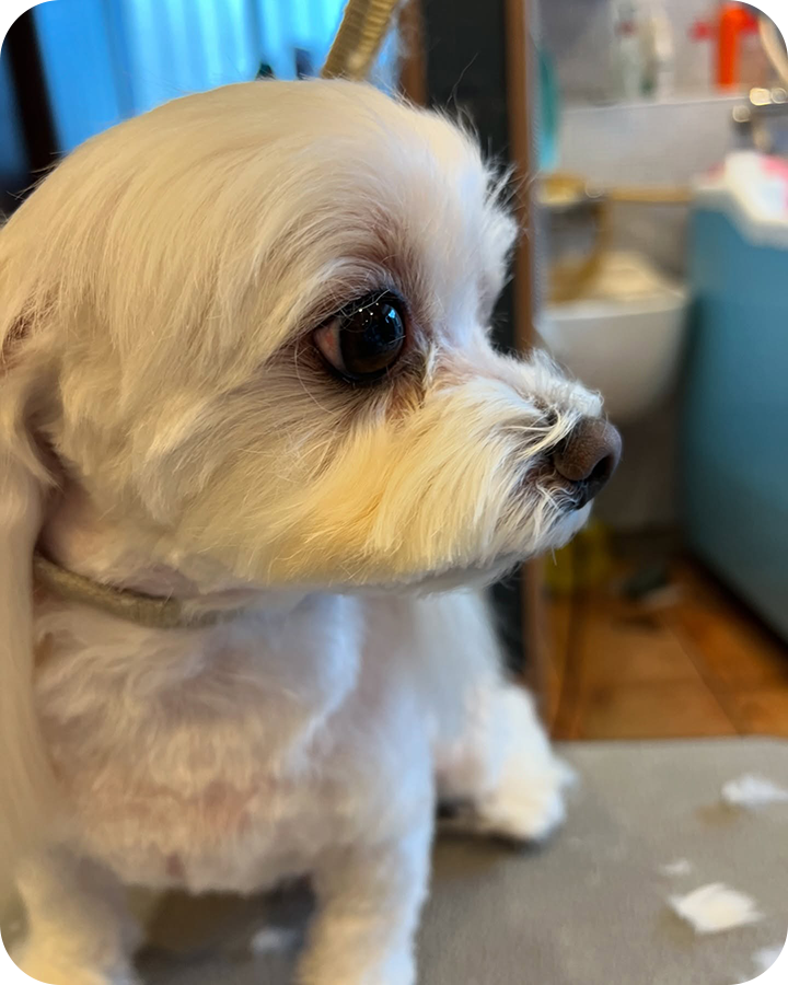 Instagramでも情報を発信しています