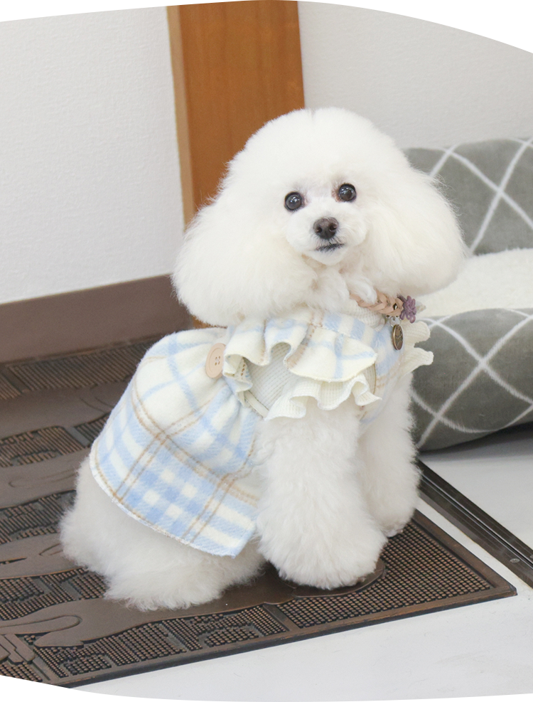 ワンちゃんのお風呂屋さん あぱらぎ