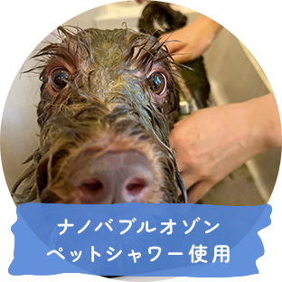 ナノバブルオゾンペットシャワー使用