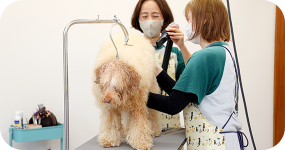 トリミングの流れ