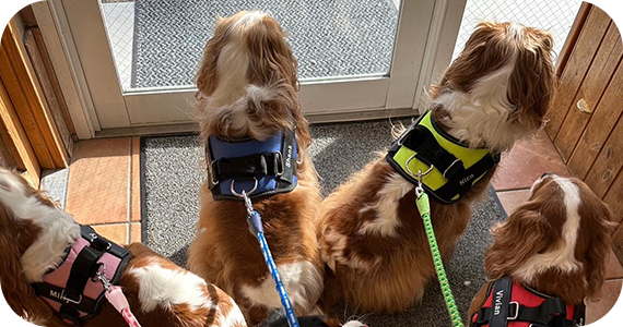 おすすめリンク情報