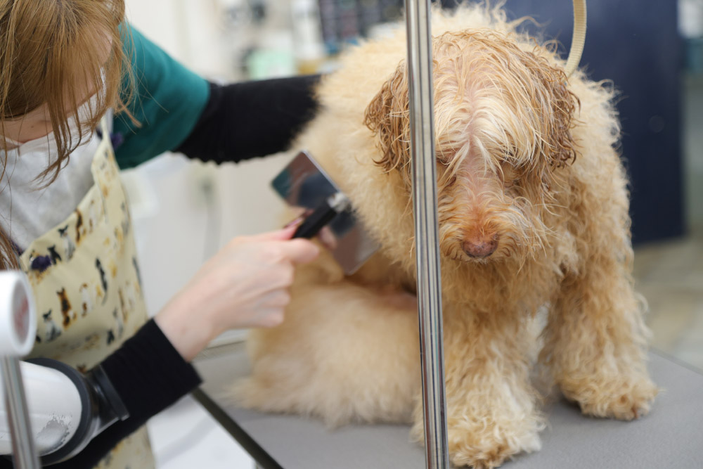トリミング台に移動